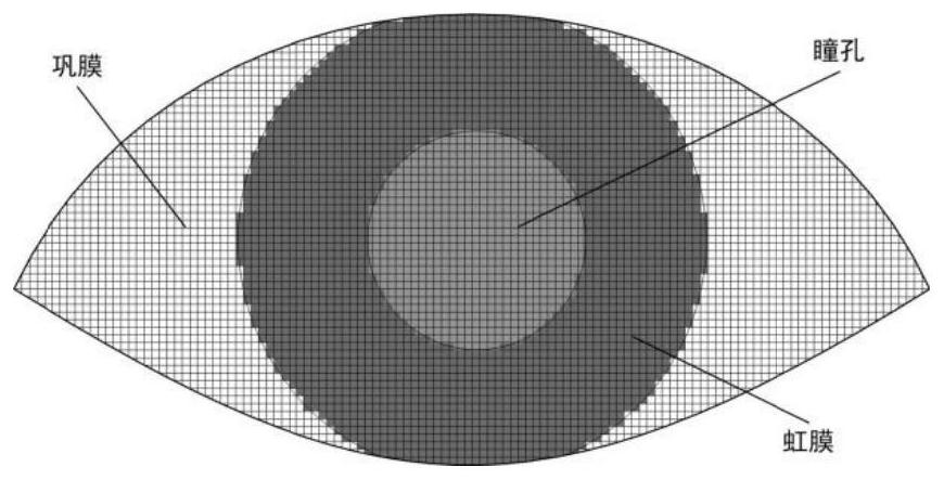 Iris positioning method, device and equipment