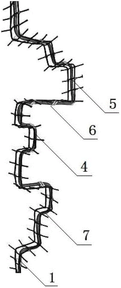 A method of cultivating and cultivating the trunk of the genus Lagerstroemia in a bow-like manner