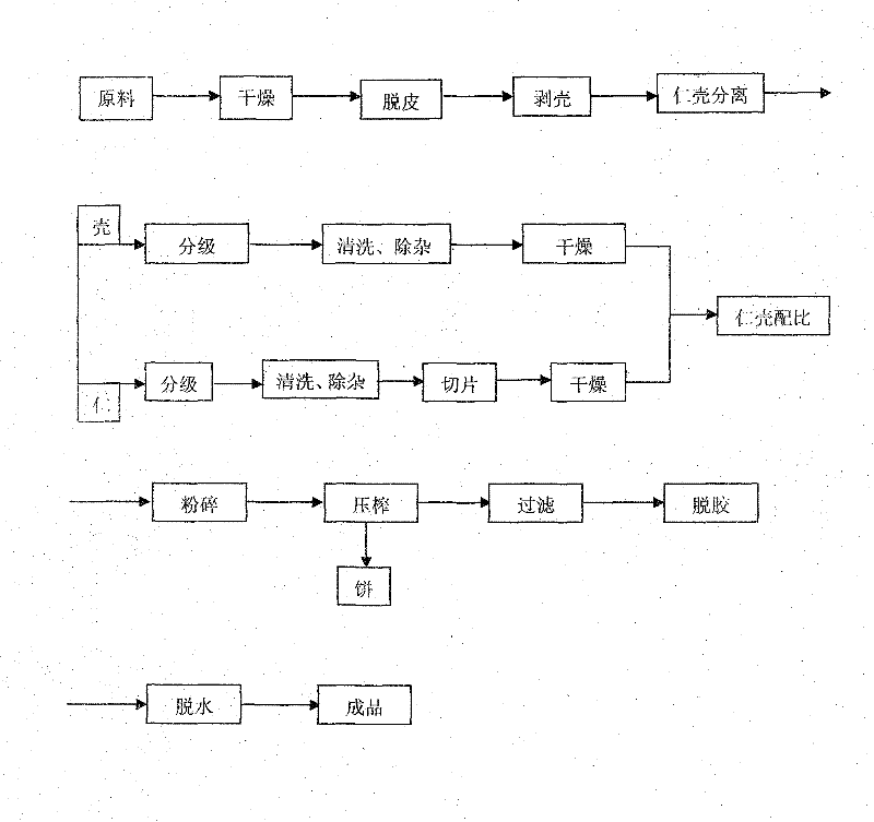 Cold pressing preparation process for calophyllum inophyllum linn seed oil