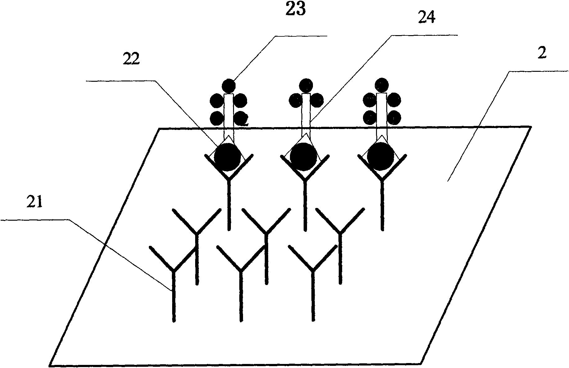 Method for synchronously performing parallel detection of various biomarkers and chip test paper