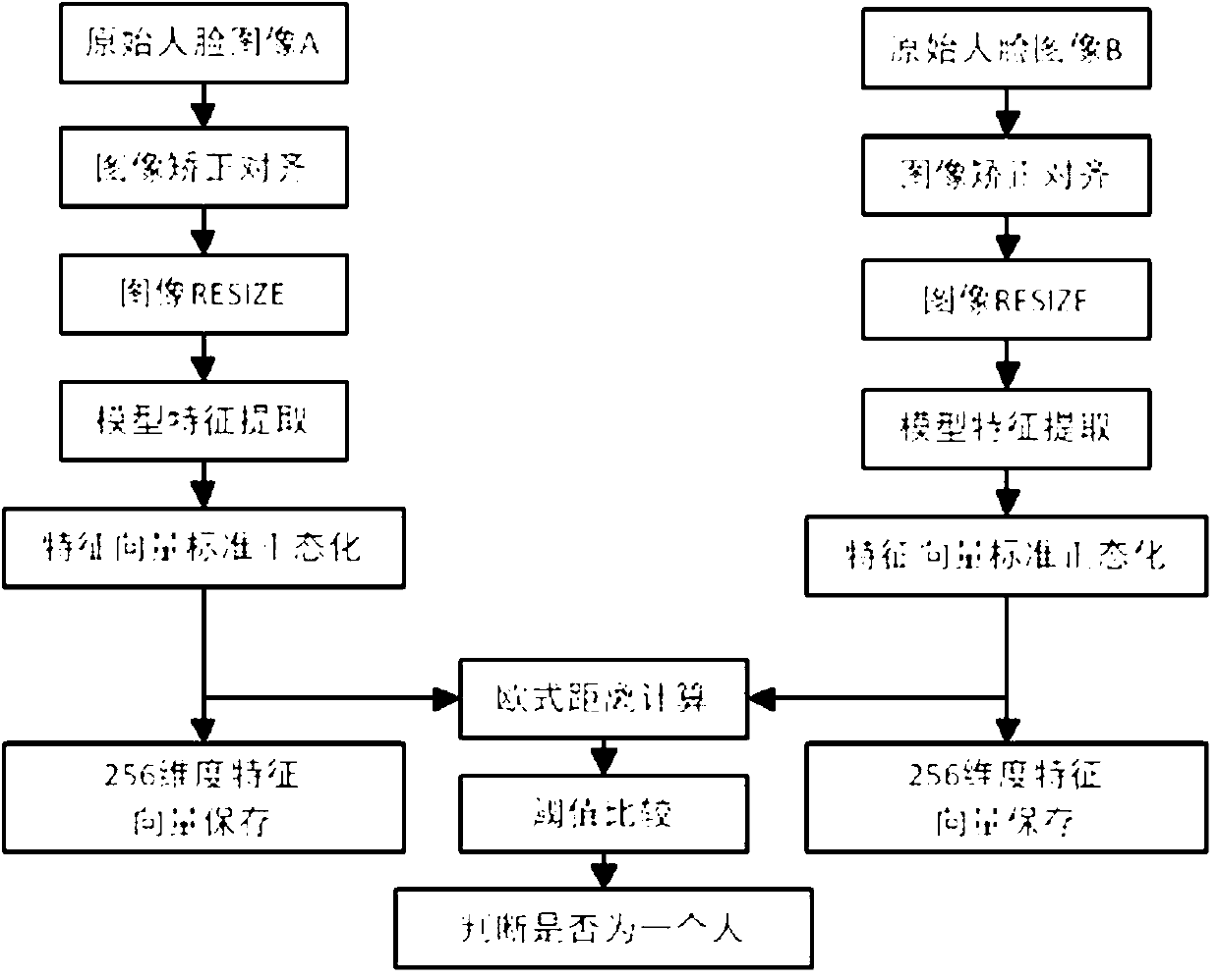 Age interference resistant face recognition method