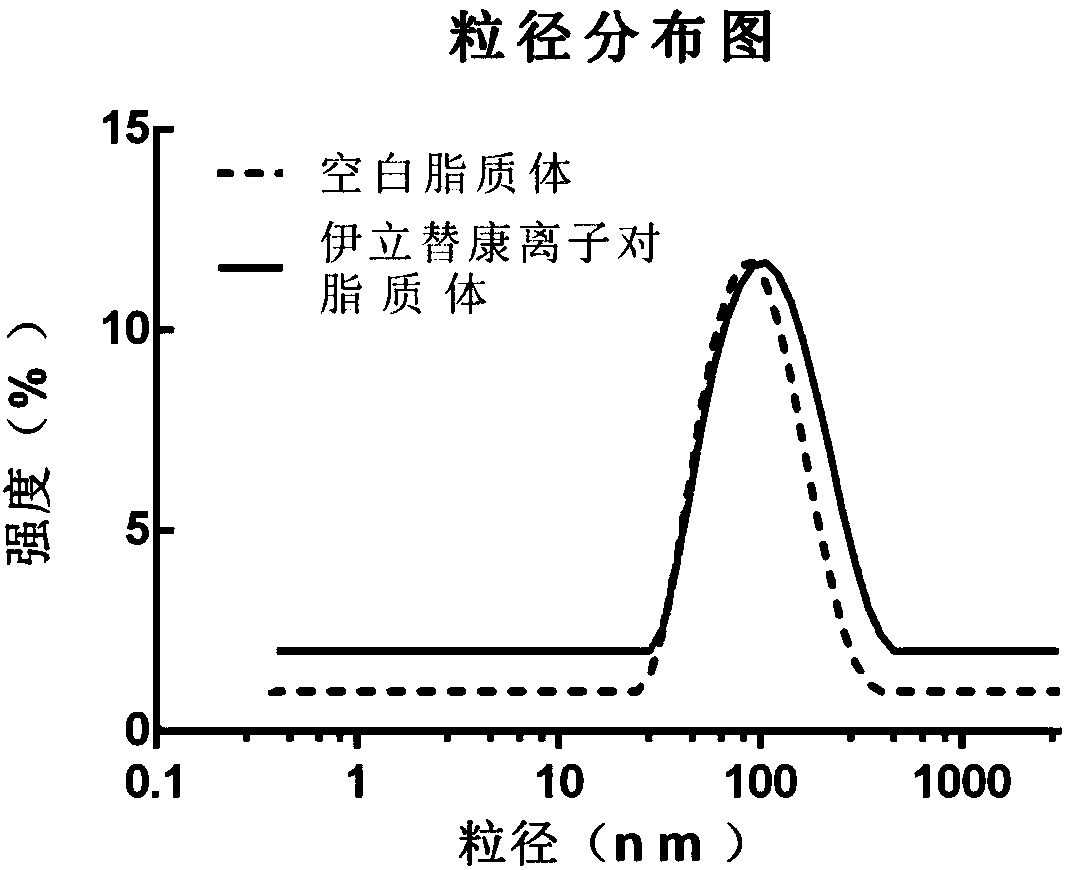 Irinotecan-cholesterol succinic acid simple lipid ion pair, liposome and preparation method and application thereof