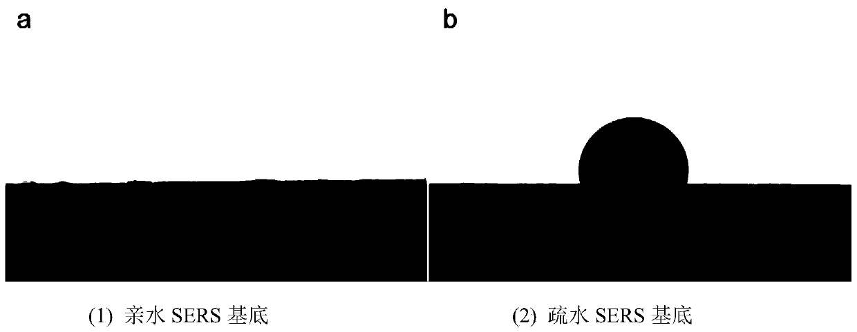 Preparation method of hydrophobic paper surface enhanced Raman substrate