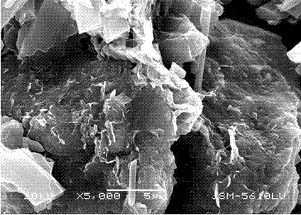 Fibrous gypsum ecological wood material and preparation method thereof