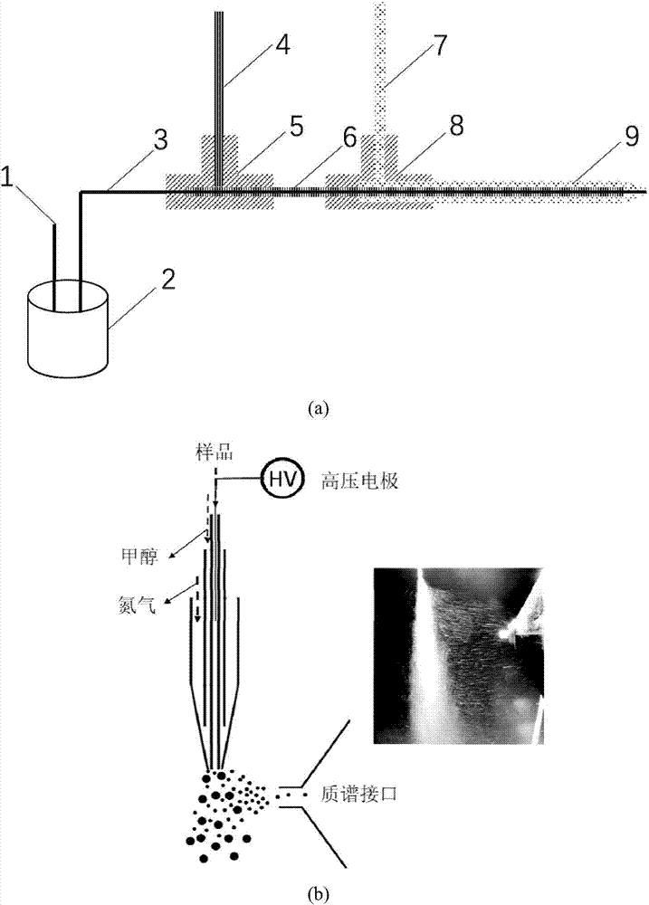 Ionizing device