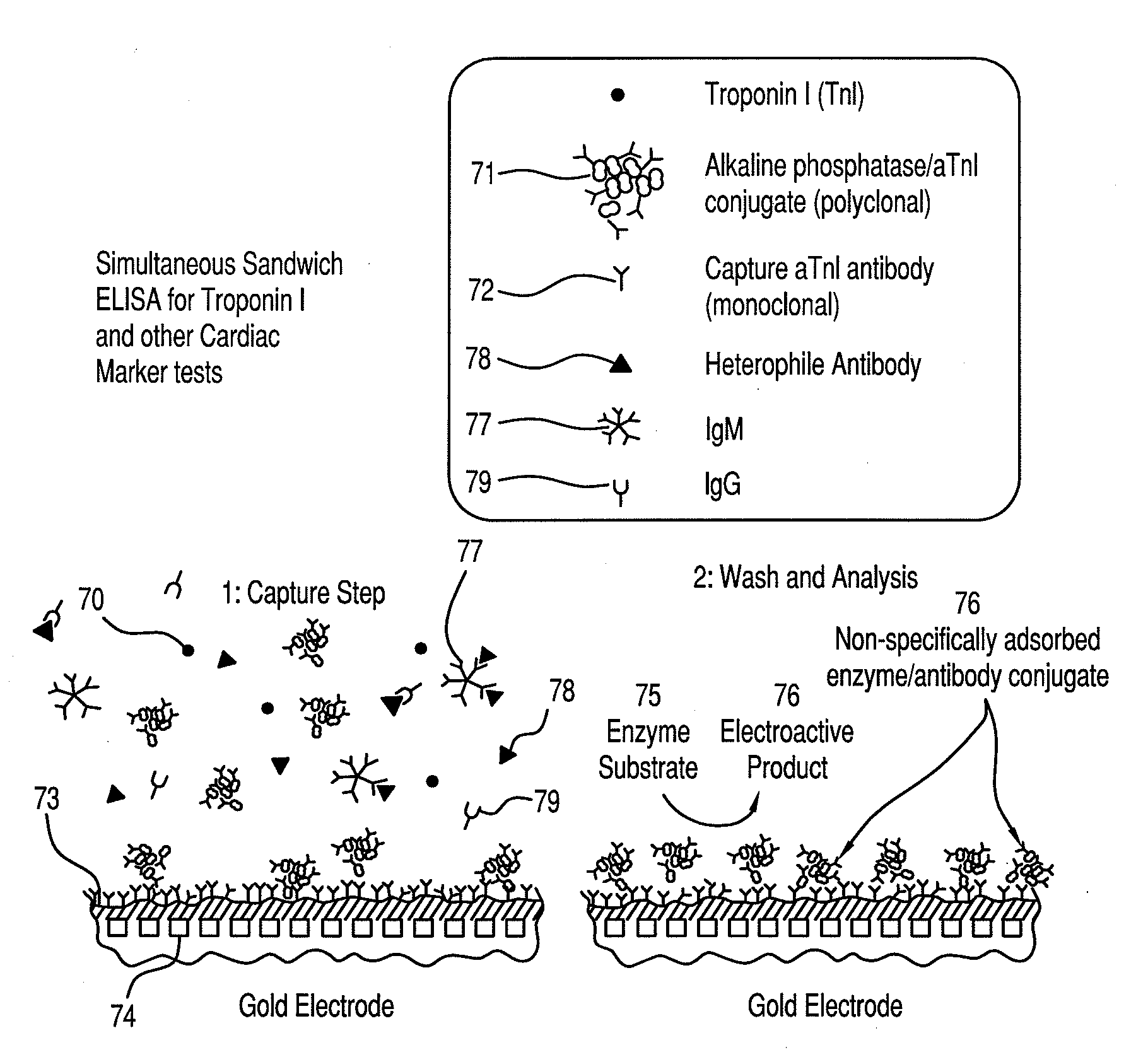 Amelioration of heterophile antibody immunosensor interference