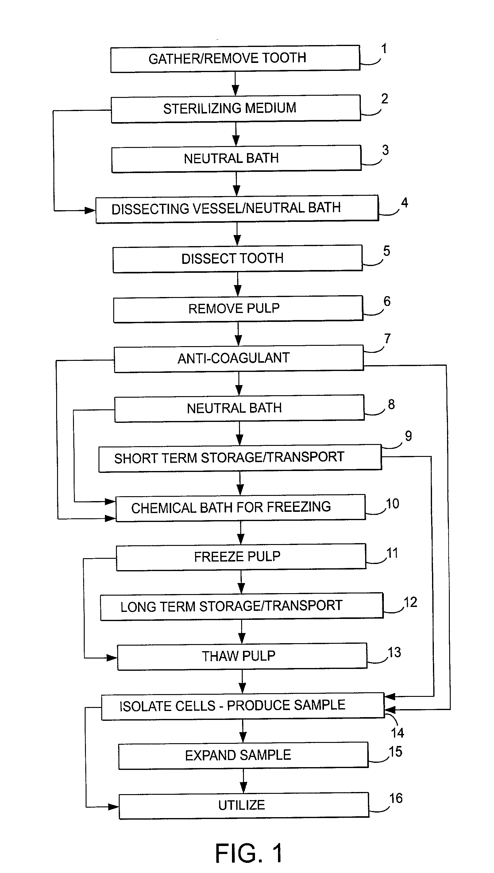 Stem cell and dental pulp harvesting method and apparatus