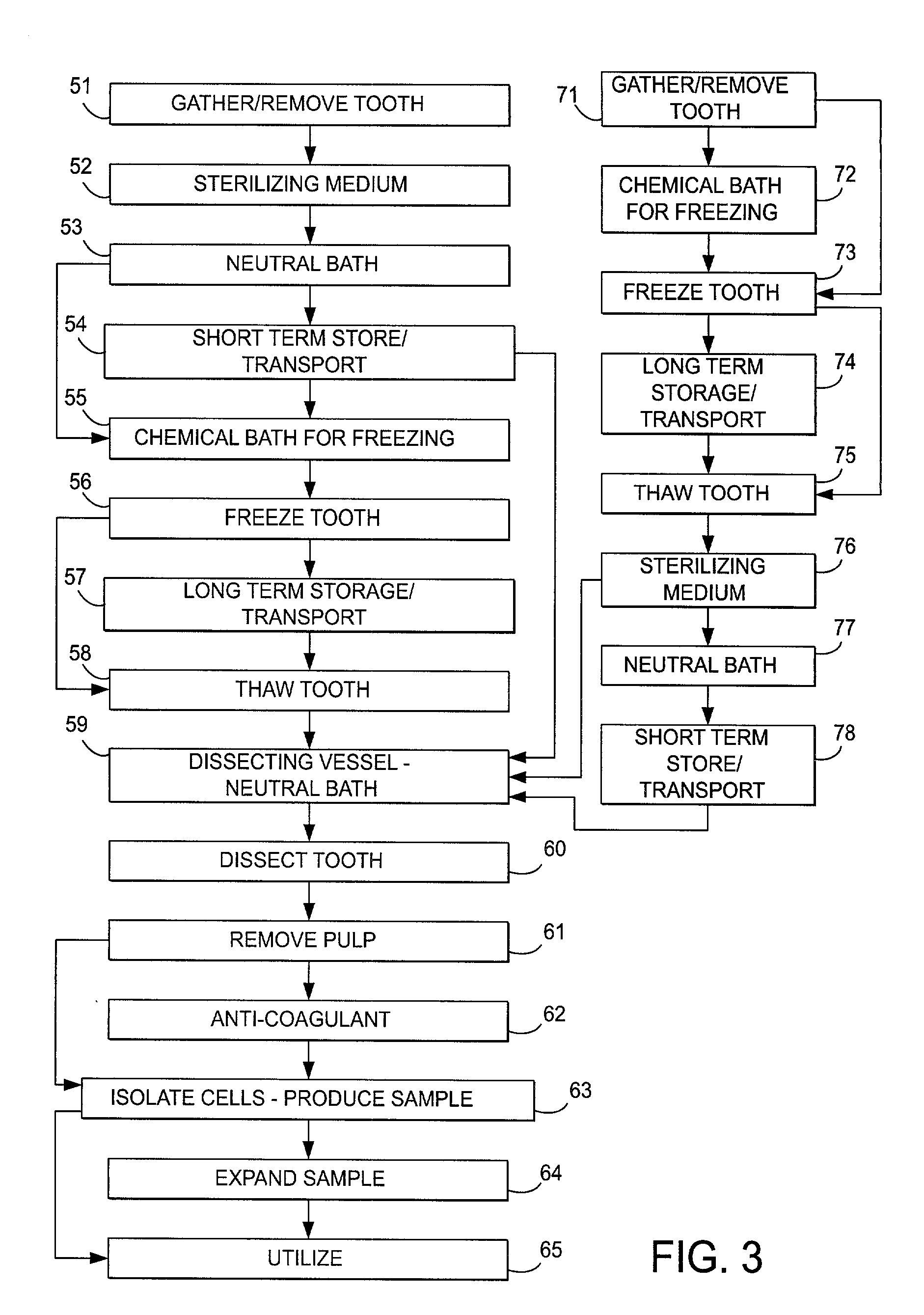 Stem cell and dental pulp harvesting method and apparatus