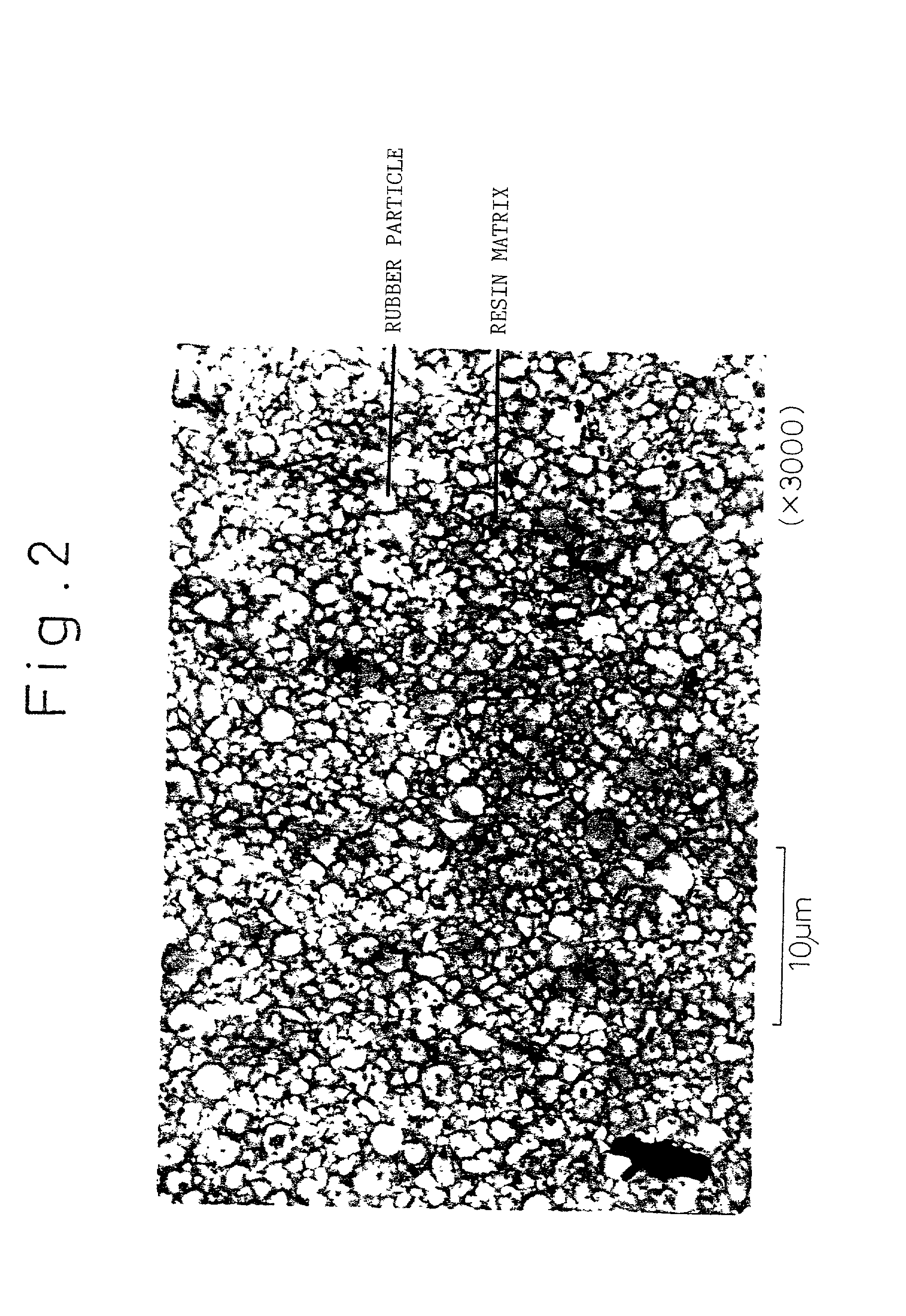 Thermoplastic elastomer composition and process for producing the same and pneumatic tire and hose using the same