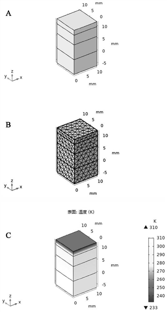 Method for estimating body nucleus temperature from forehead temperature and application thereof