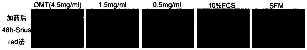 Application of oxymatrine in promoting scar repair