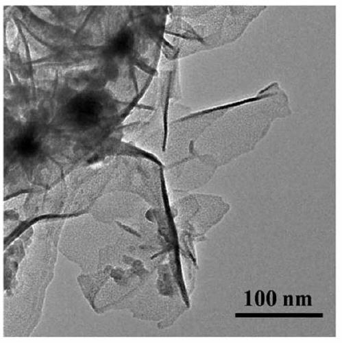 A kind of d10 transition metal alkyne two-dimensional nanosheet and preparation method thereof