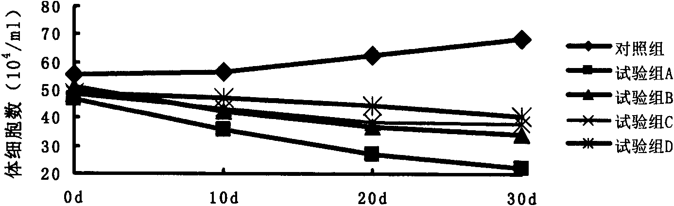 Feed additive for treating dairy cattle recessive mastitis