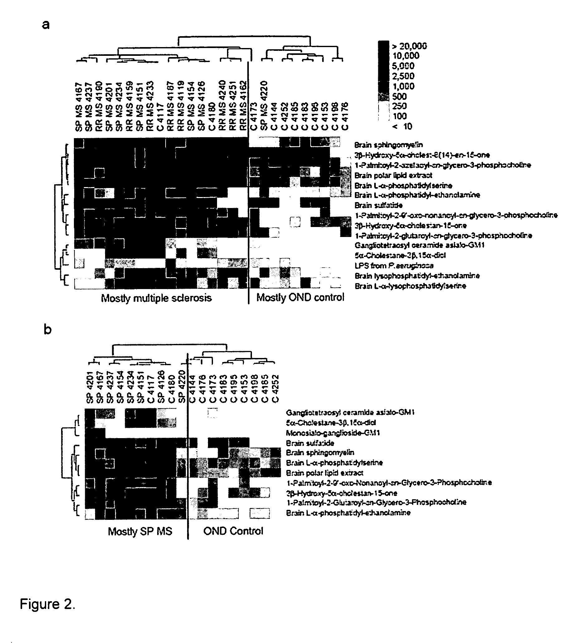 Multiplex determination of lipid specific binding moieties