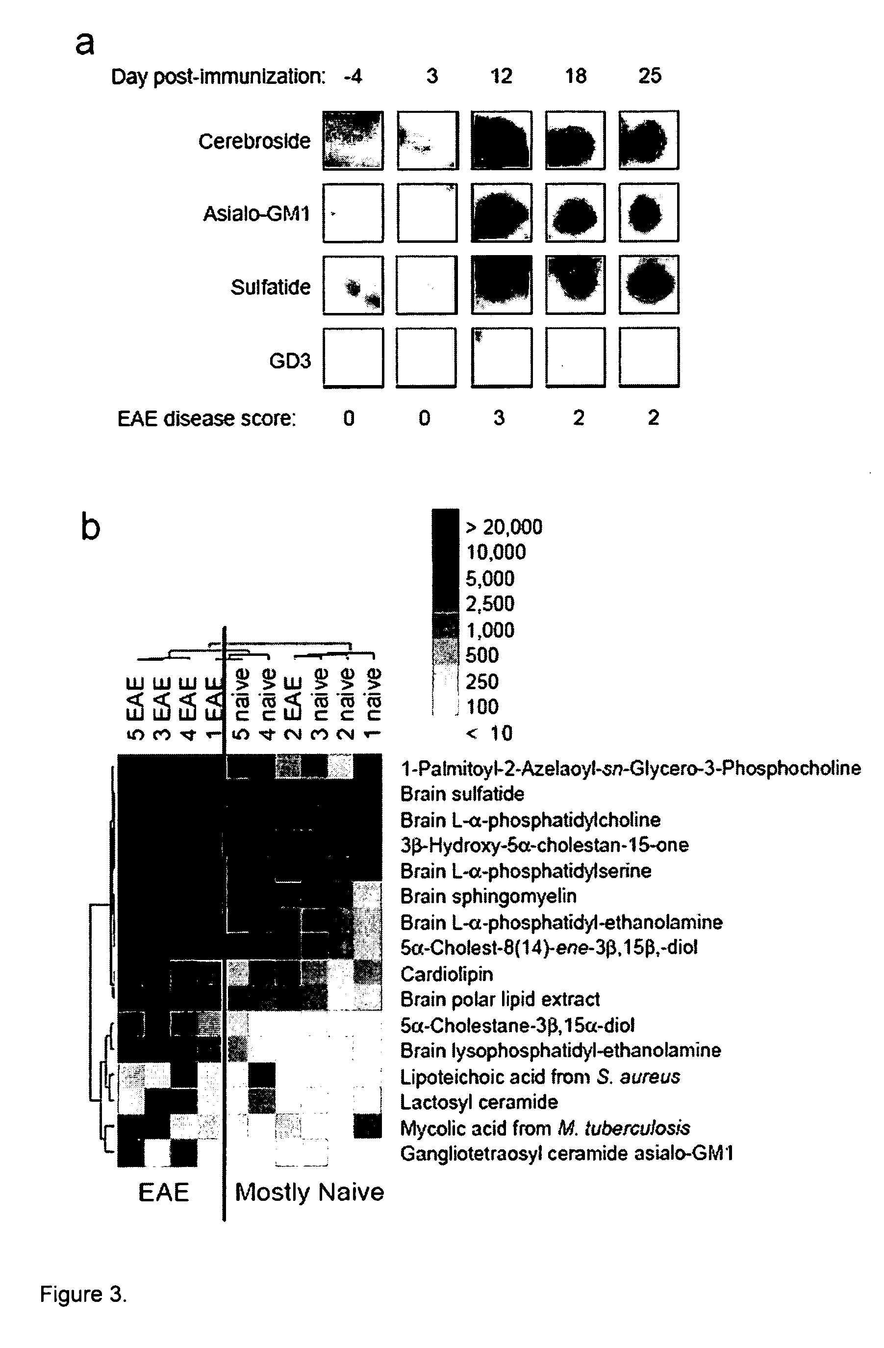 Multiplex determination of lipid specific binding moieties