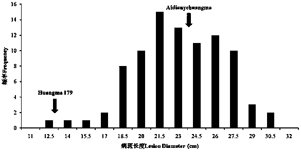 A SNP Molecular Marker of Jute Anthracnose Resistance Gene Segment