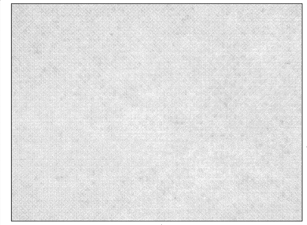 Method for testing and evaluating de-lipping performance of cigarette tipping paper