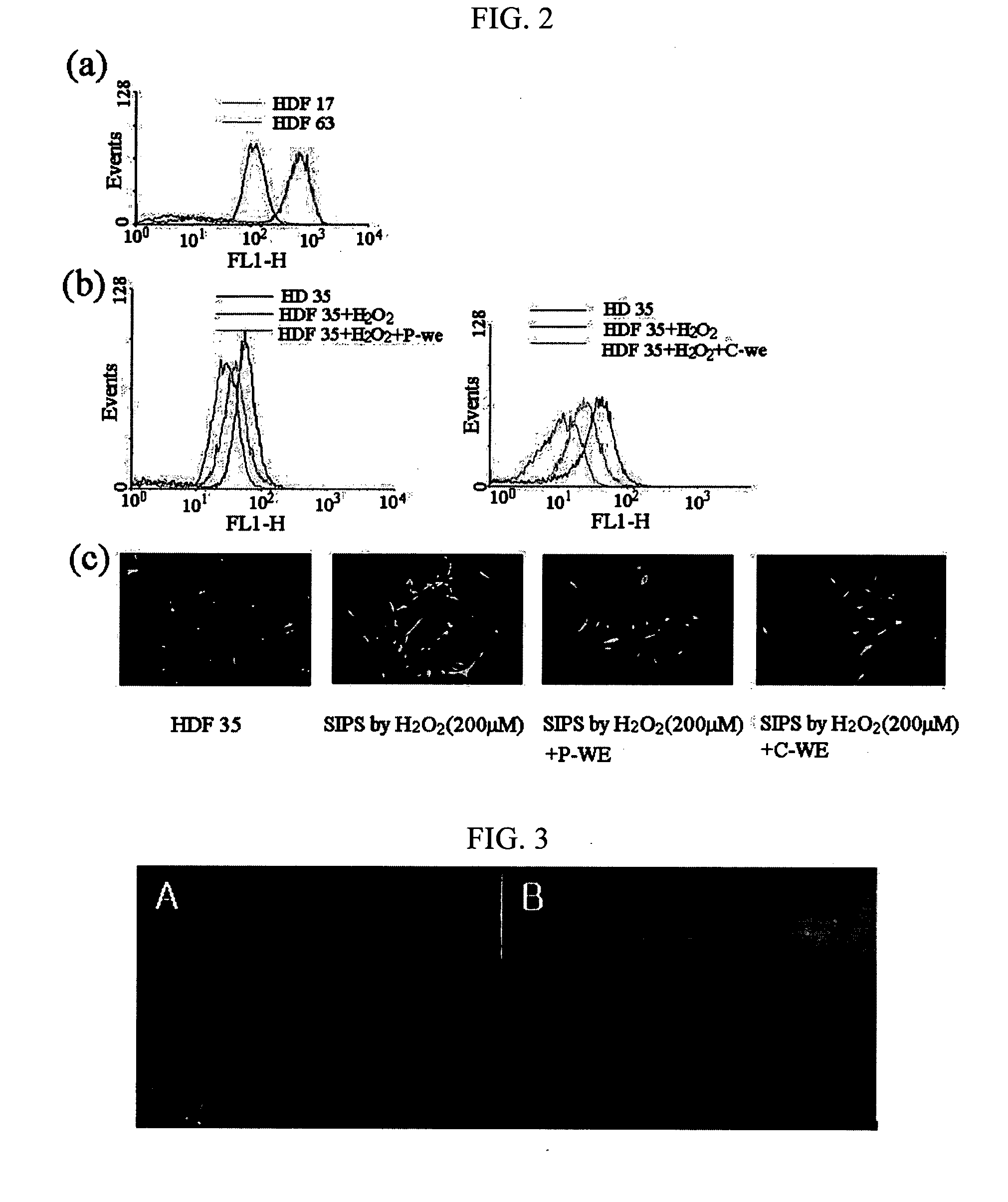 Anticancer composition comprising plant stem cell line derived from taxus cambium or procambium