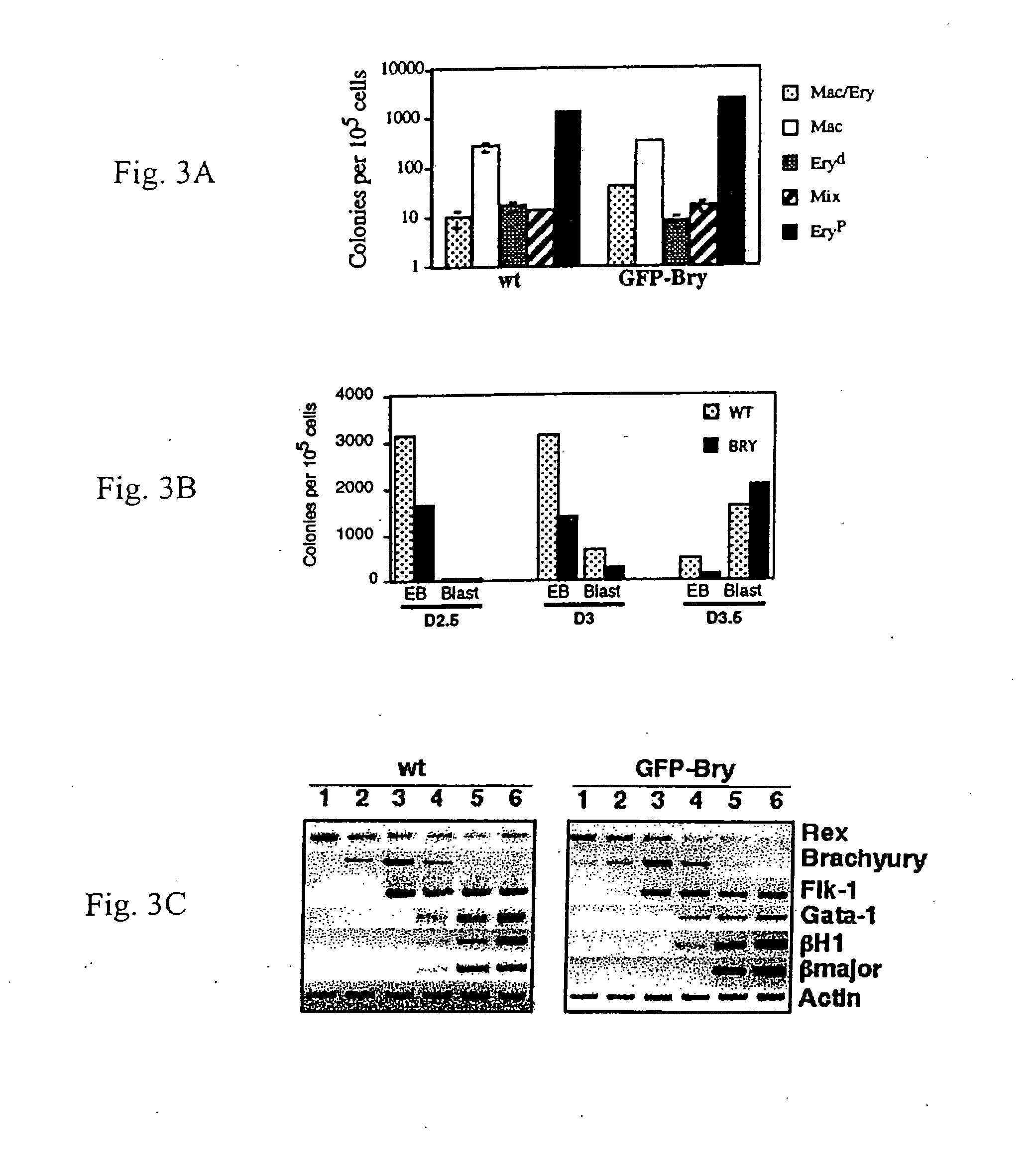 Mesoderm and definitive endoderm cell populations