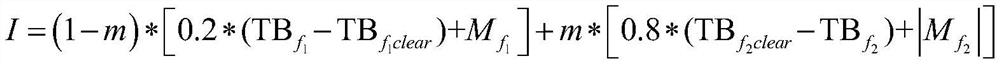 Satellite-borne detection data global ocean rainfall type discrimination device and method