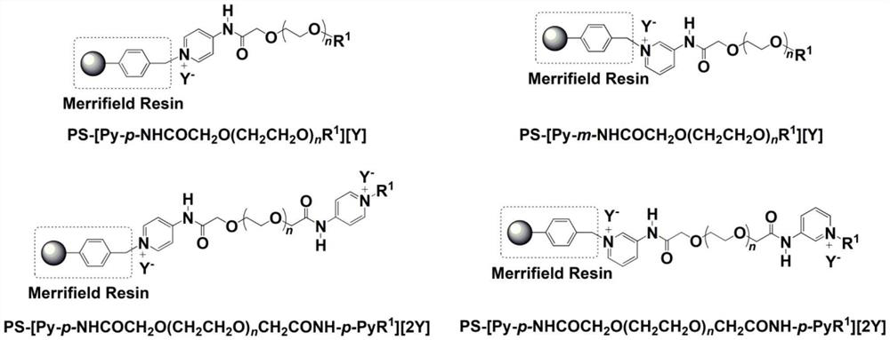 Merrifield resin loaded polyether amide ionic liquid catalyst and preparation method thereof