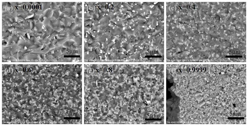 Preparation method of new phosphate composite ceramic solidified body material