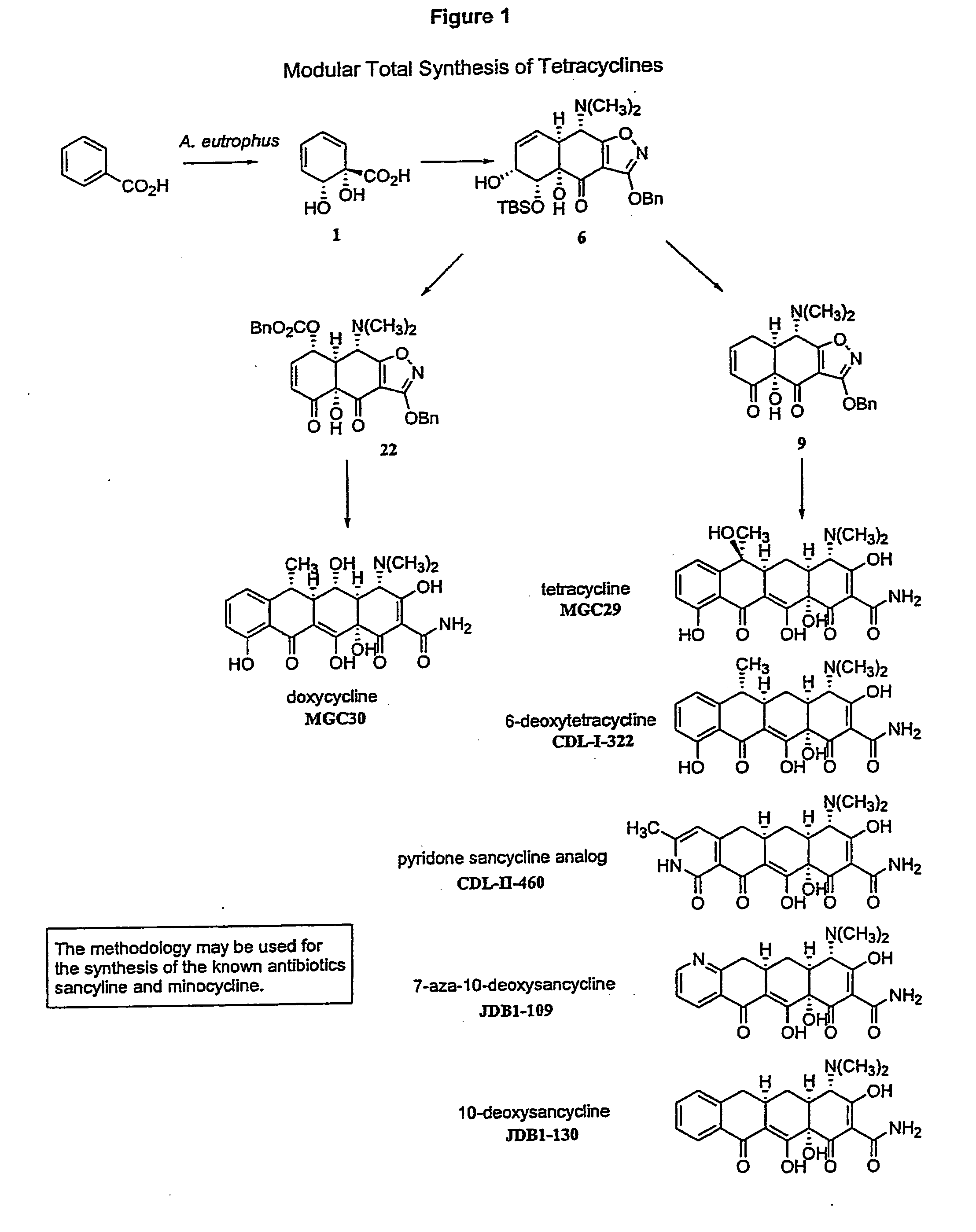 Synthesis of tetracyclines and analogues thereof