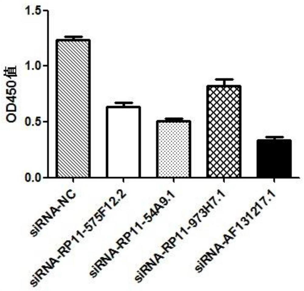 Application of biomarker RP11-54A9.1 in prediction of oral squamous cell carcinoma and treatment of oral squamous cell carcinoma