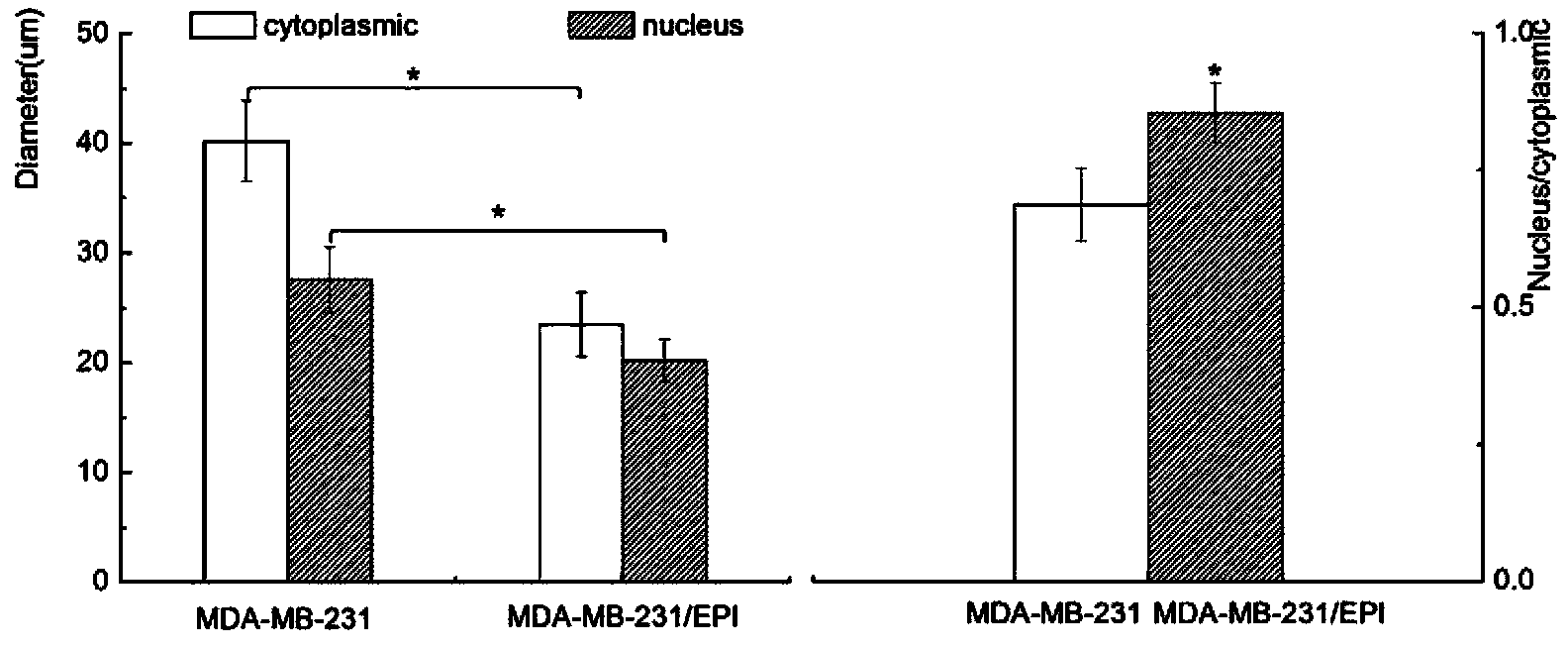 Breast cancer multidrug-resistant cell strain constructed by virtue of epirubicin induction as well as construction method and application thereof