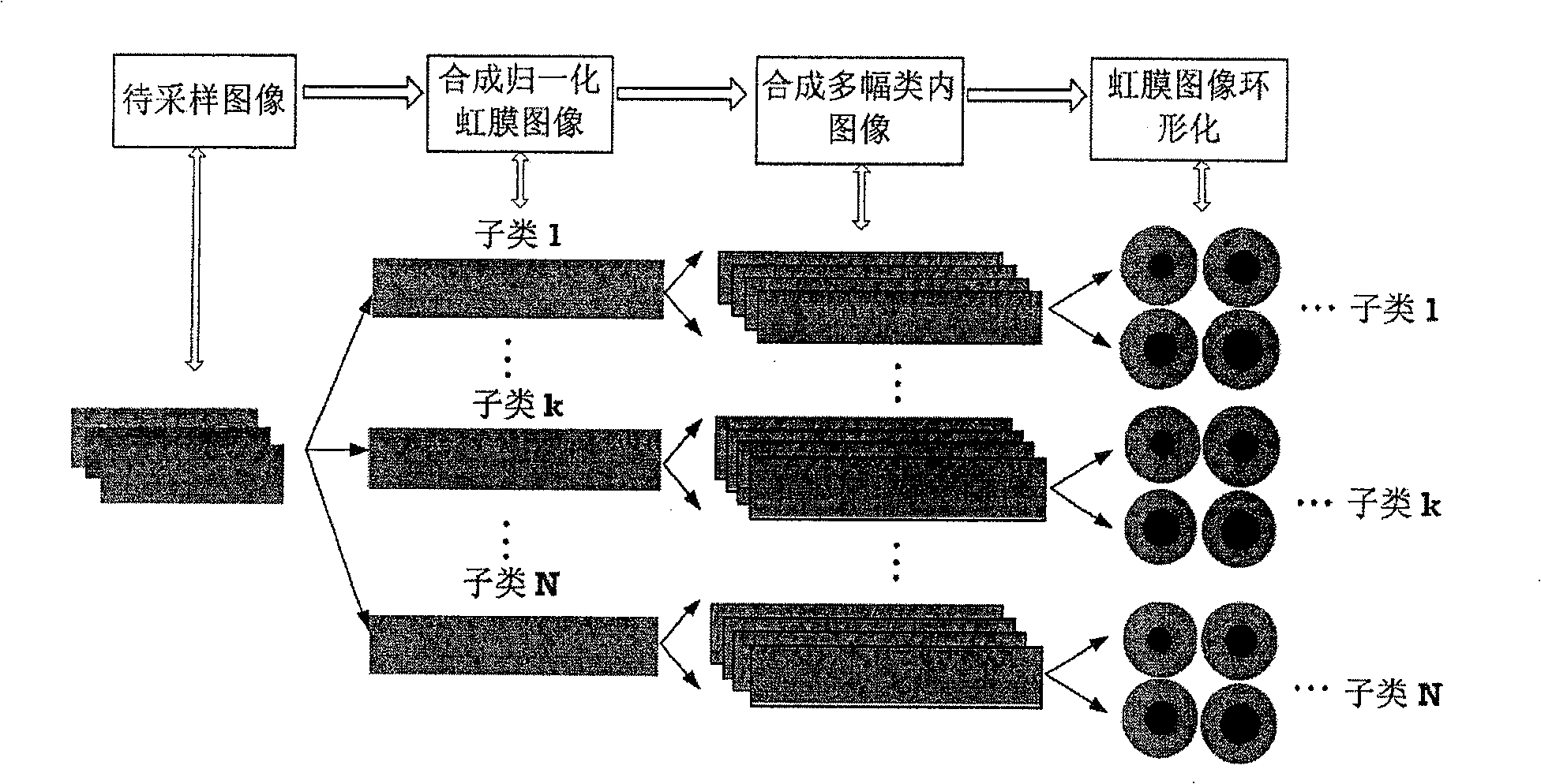 Iris image database synthesis method based on block texture sampling