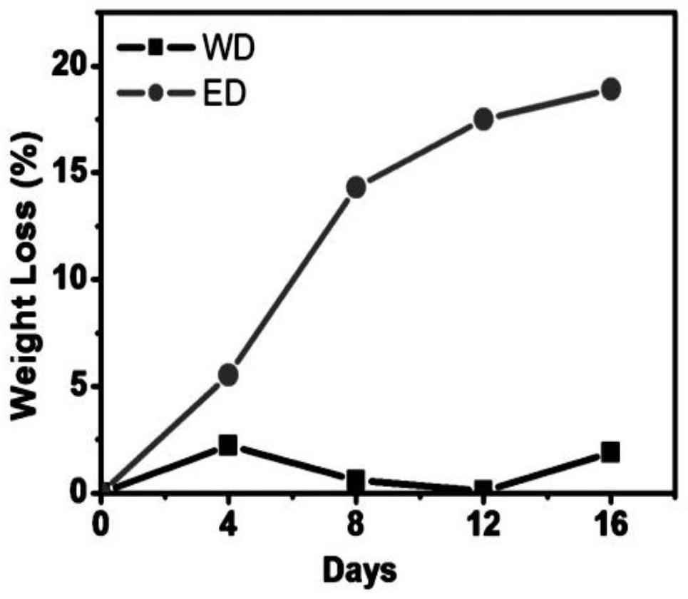 Method for producing porous three-dimensional material by enzymatic degradation of PCL/PLLA polymer