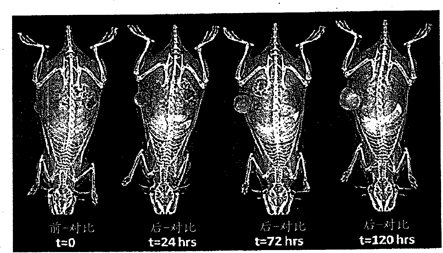 Nano-scale contrast agents and methods of use