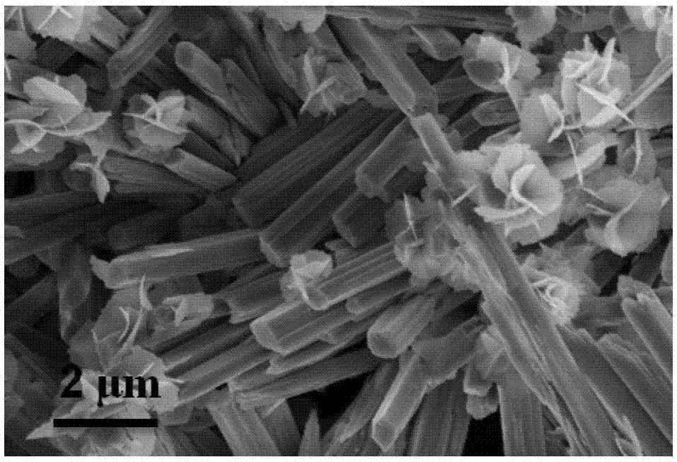 MoSe2/Co0.85Se composite material for electrocatalytic water decomposition as well as preparation method and application thereof