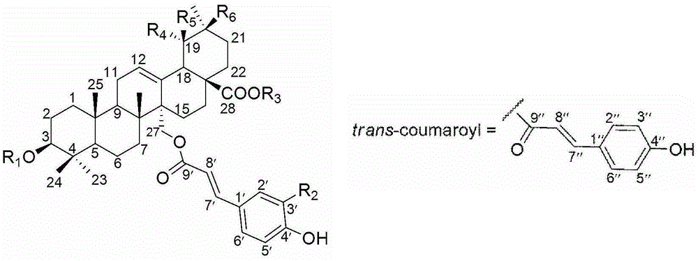 Application of aryl substitute acryl triterpenoids to preparation of anticomplement drugs