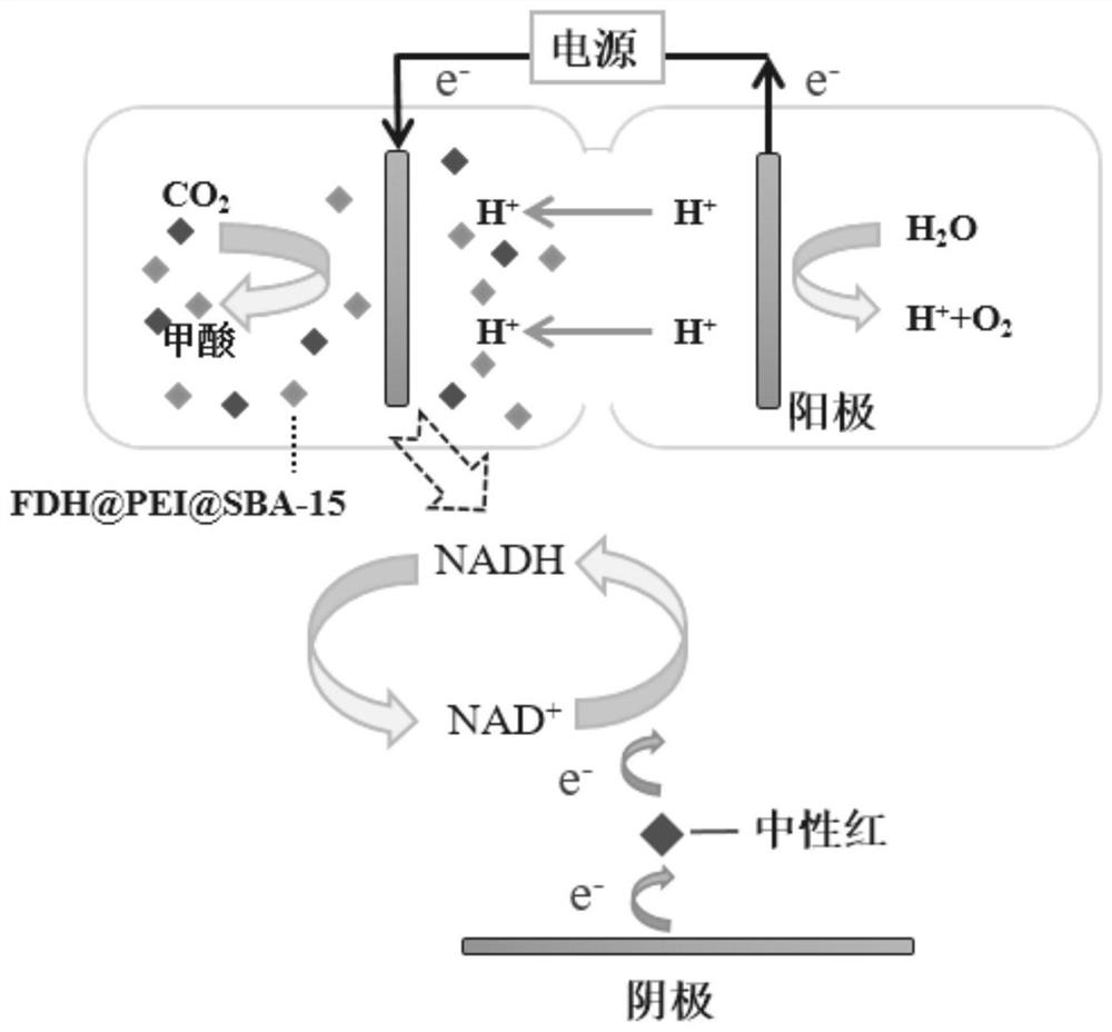 Method for bioelectrocatalytic reduction of carbon dioxide by mesoporous material immobilized enzyme and application