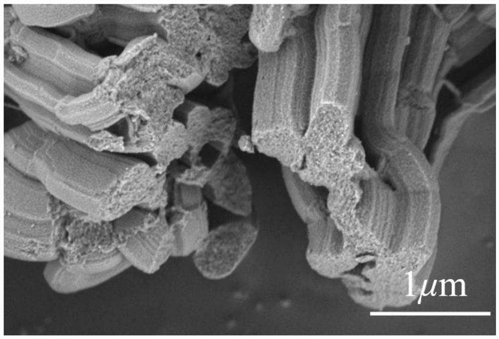 Method for bioelectrocatalytic reduction of carbon dioxide by mesoporous material immobilized enzyme and application