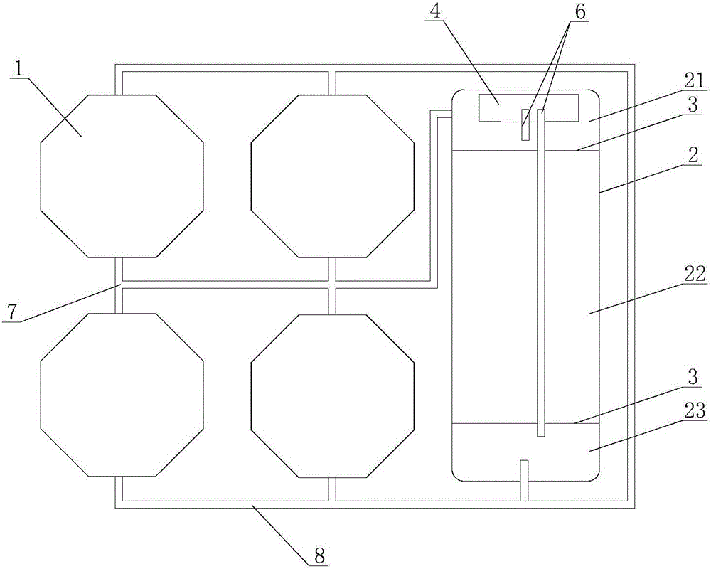 Culture system for hybridized sturgeons