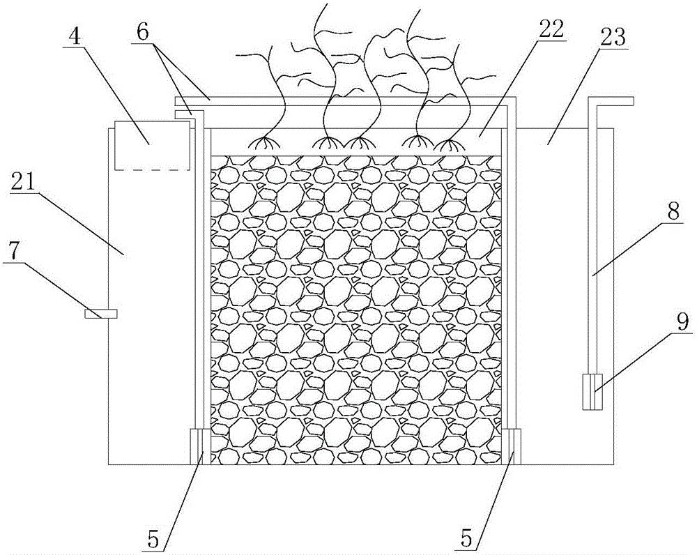 Culture system for hybridized sturgeons