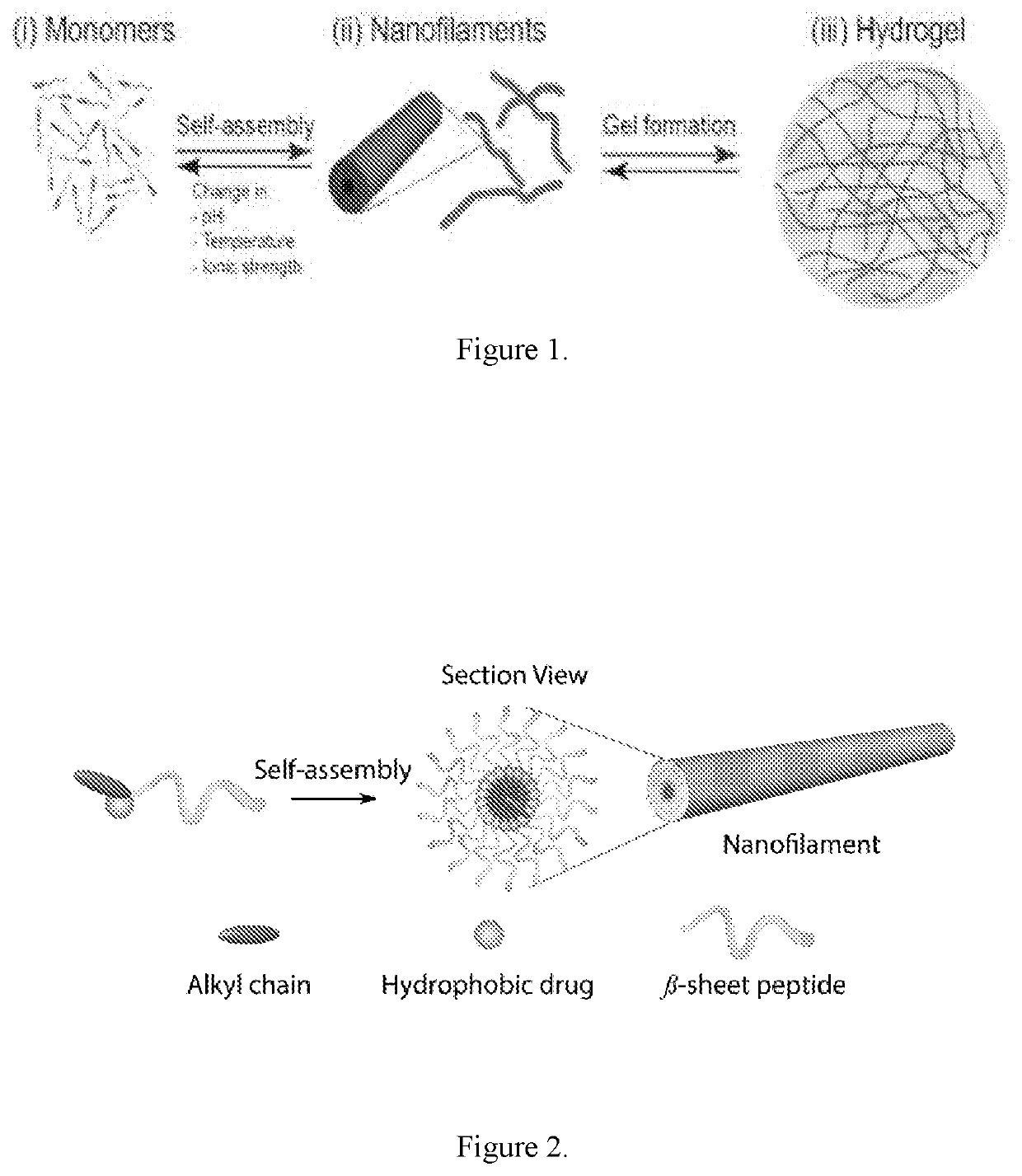 Supramolecular hydrogels containing angiotensin receptor blockers for targeted treatment of diabetic wounds