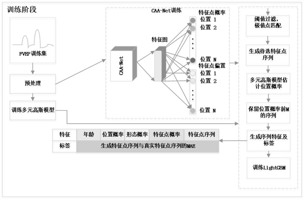 Fvep feature point detection method based on caa-net and lightgbm