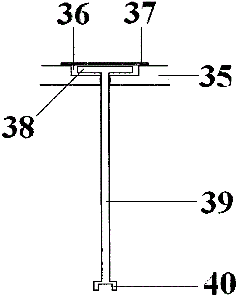 Tumor cell preparation device for constructing human pancreatic cancer rabbit pancreatic head xenograft tumor model