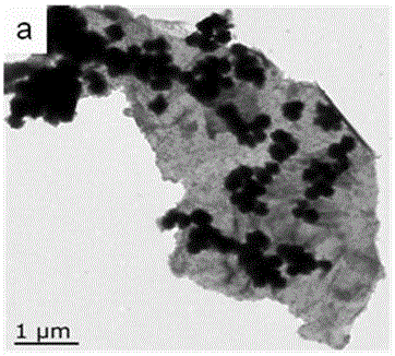 Preparation method of graphene/Fe3O4/polyaniline ternary wave-absorbing composite material