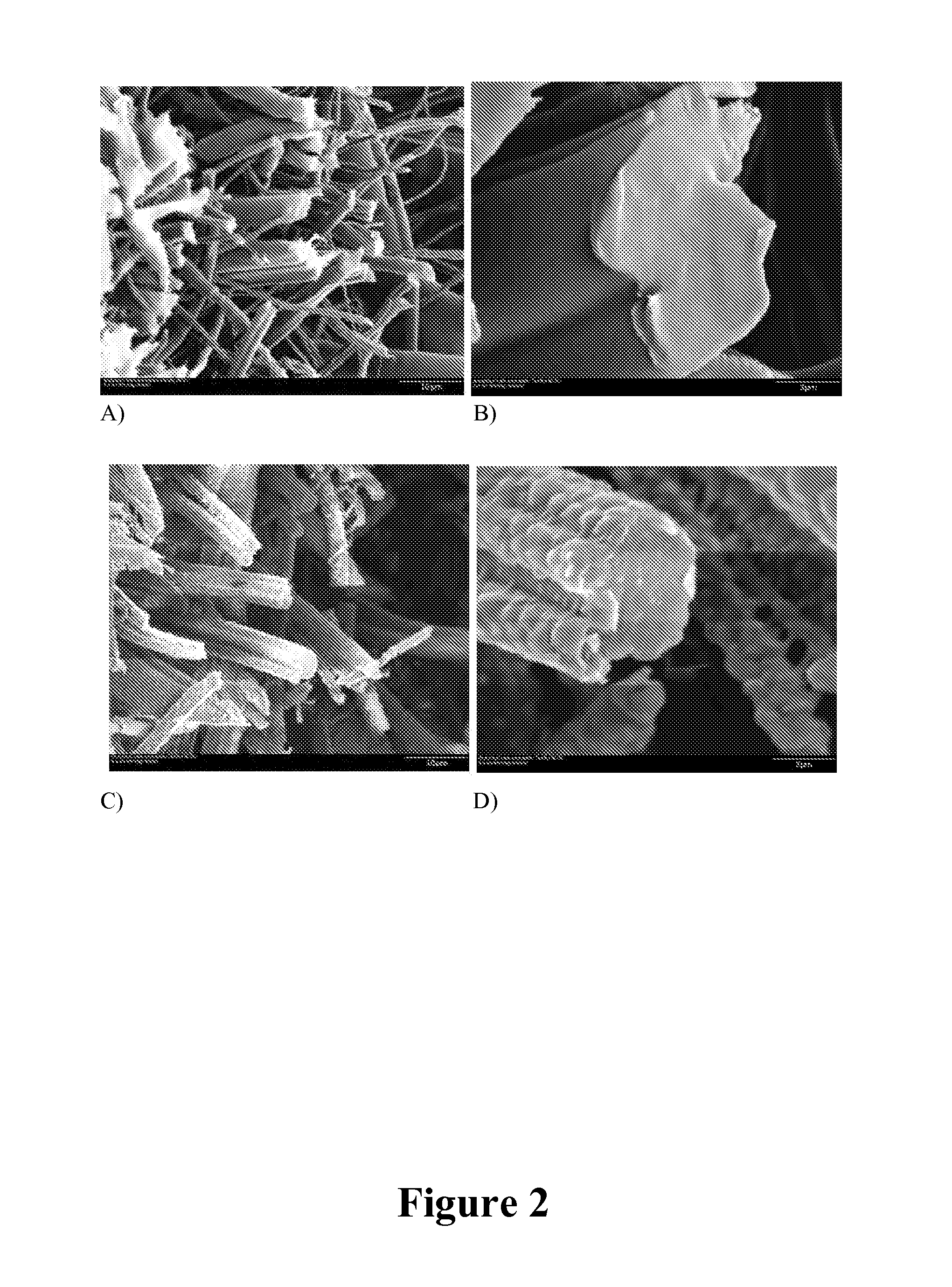 Conformal coating of polymer fibers on nonwoven substrates