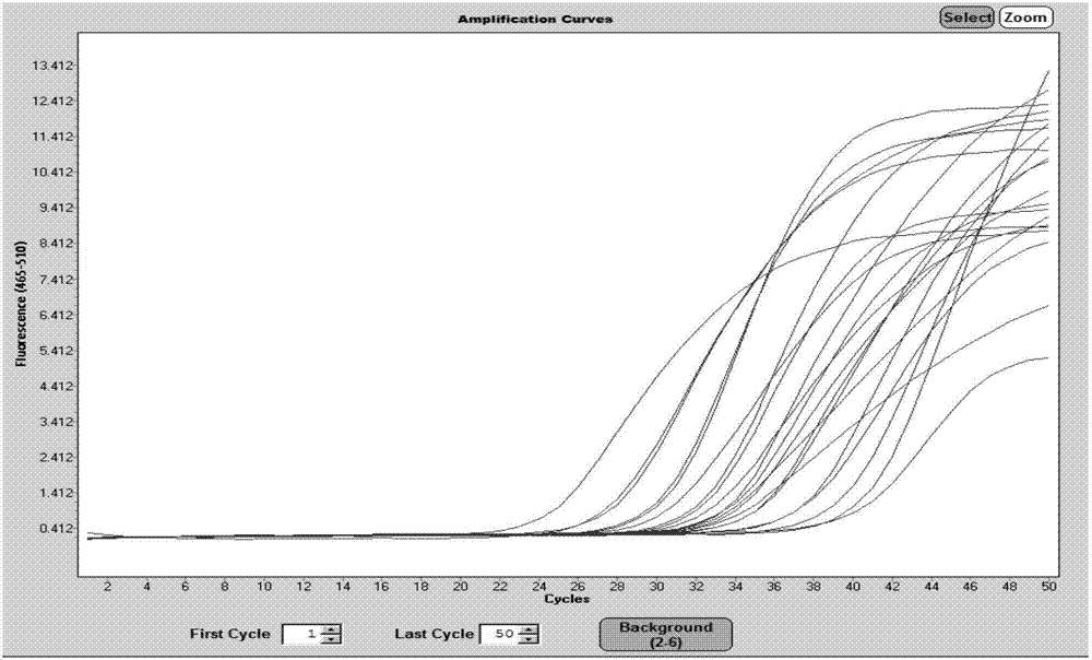 Breast cancer recurrent risk assessment 21 gene detection primer and application thereof