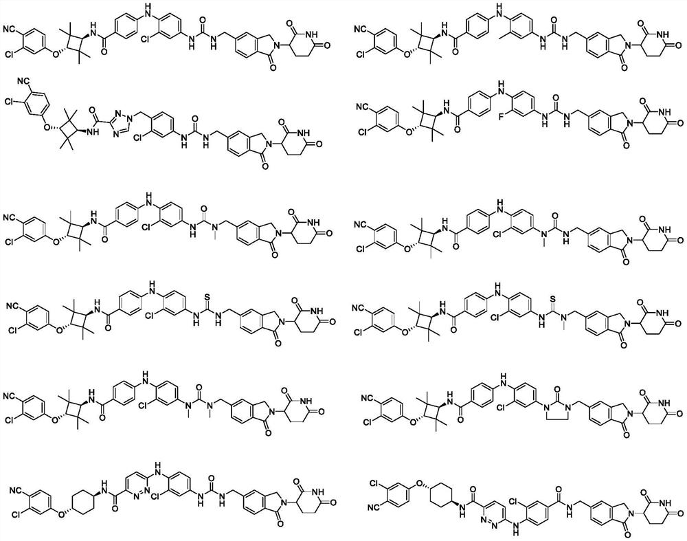 Bifunctional molecule as well as preparation method and application thereof