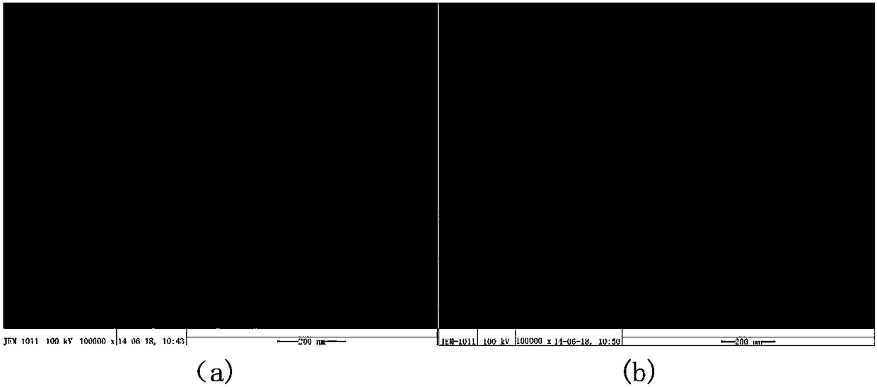 Preparation method and application of composite nanometer material for combined treatment of tumor by optothermal and active oxygen