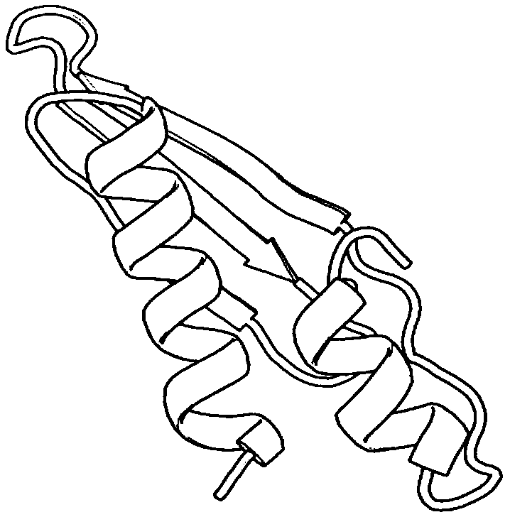 Protein structure prediction method based on residue contact information crossover strategy