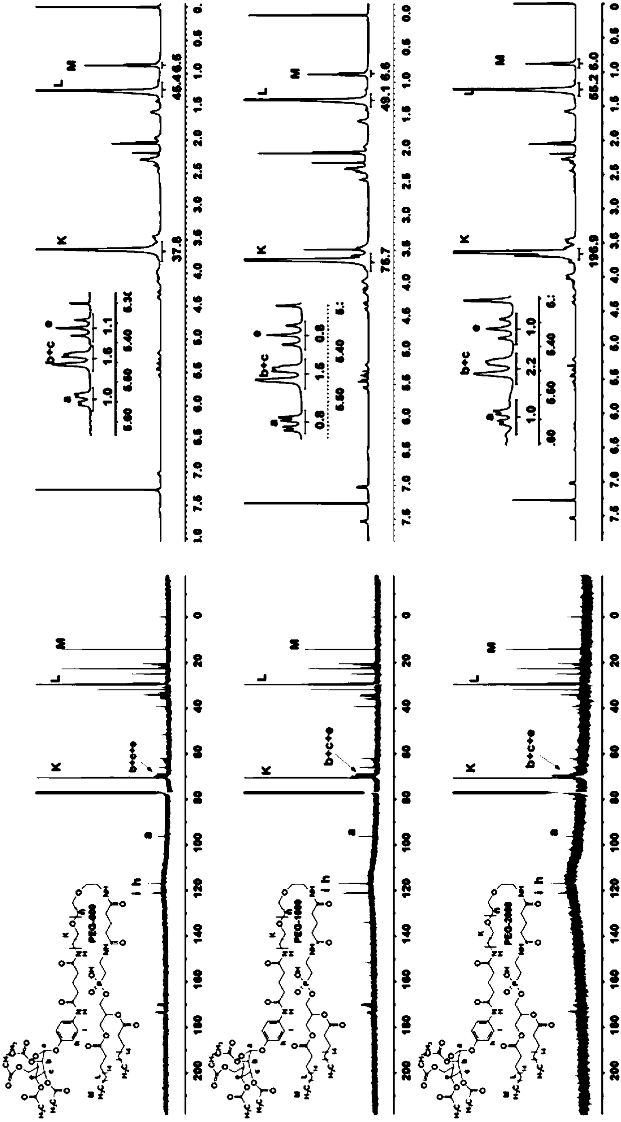 Heart and brain dual targeting lipidosome as well as preparation method and applications of heart and brain dual targeting lipidosome