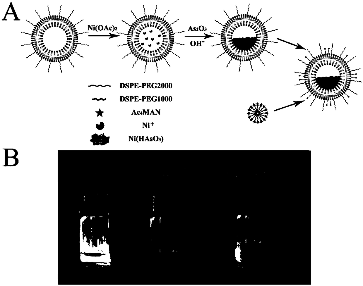 Heart and brain dual targeting lipidosome as well as preparation method and applications of heart and brain dual targeting lipidosome