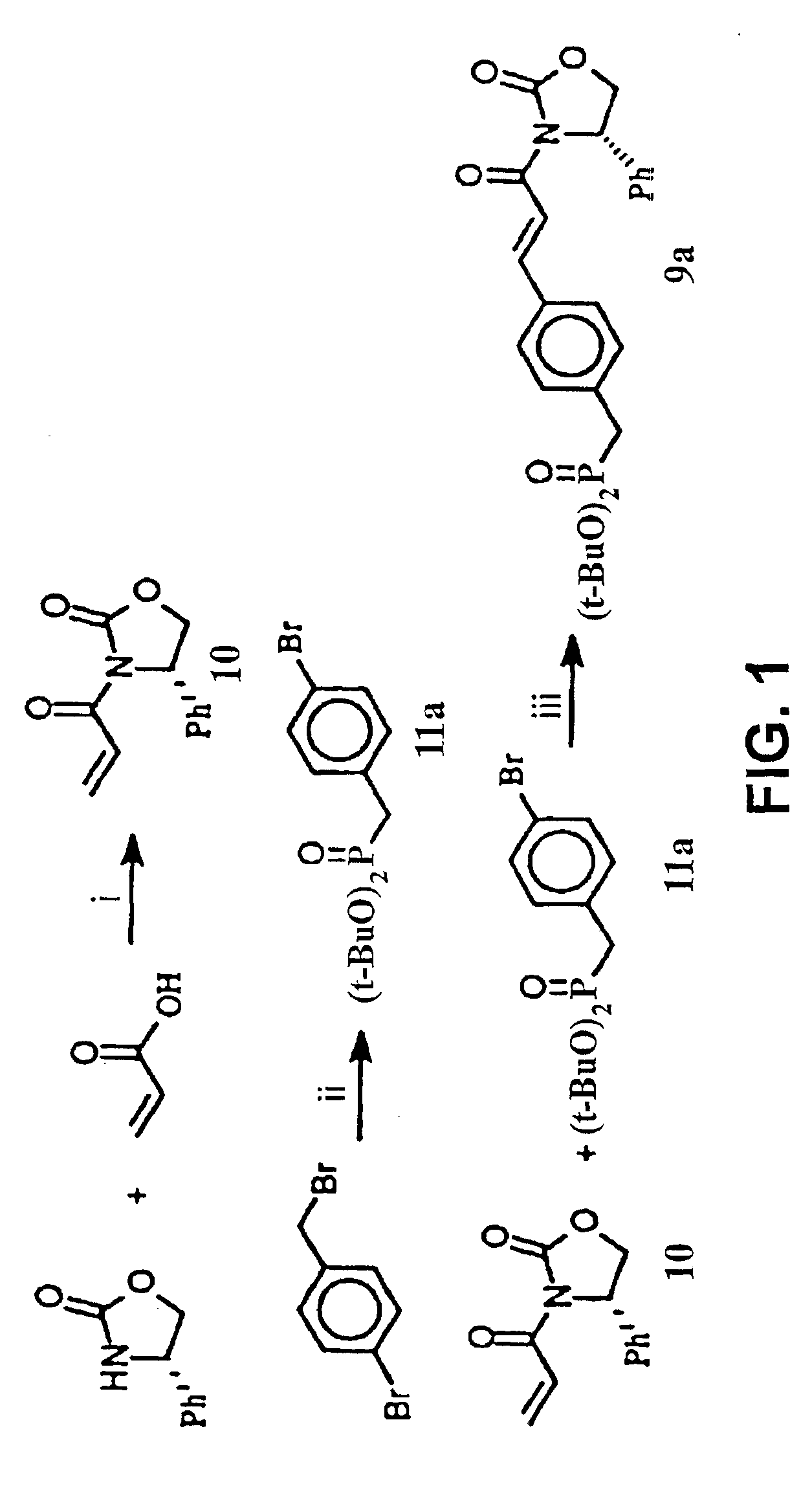 SH2 domain binding inhibitors